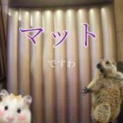 ヒメ日記 2026/01/06 10:01 投稿 さつき ARIEL（アリエル）（宮崎）