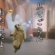 ヒメ日記 2026/01/08 19:40 投稿 さつき ARIEL（アリエル）（宮崎）