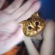 ヒメ日記 2026/02/25 20:18 投稿 さつき ARIEL（アリエル）（宮崎）