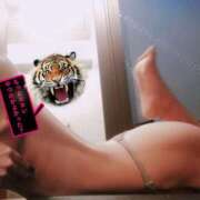 ヒメ日記 2026/03/12 10:00 投稿 さつき ARIEL（アリエル）（宮崎）