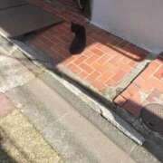 ヒメ日記 2026/03/28 10:01 投稿 さつき ARIEL（アリエル）（宮崎）