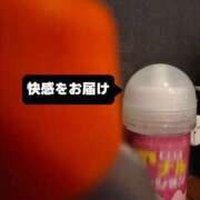 ヒメ日記 2026/04/07 10:04 投稿 さつき ARIEL（アリエル）（宮崎）