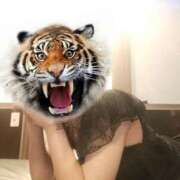 ヒメ日記 2026/04/19 21:25 投稿 さつき ARIEL（アリエル）（宮崎）