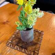 ヒメ日記 2025/04/08 16:00 投稿 みどり Felice(フェリス)