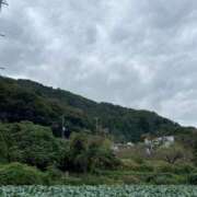 ヒメ日記 2025/10/15 09:56 投稿 みどり Felice(フェリス)