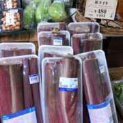 ヒメ日記 2025/07/26 14:22 投稿 マユ Club 妻