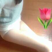 ヒメ日記 2025/04/05 10:12 投稿 れん 甘い恋人　所沢店