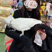 らん 休日はペットショップ巡り🐭 ぽっちゃり巨乳素人専門店　蒲田ちゃんこ