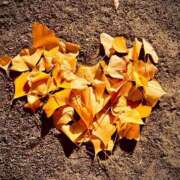 ヒメ日記 2024/12/12 07:30 投稿 南条 みく SUMIRE