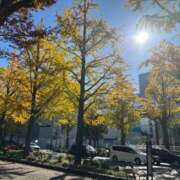 ヒメ日記 2025/01/07 08:15 投稿 南条 みく SUMIRE