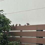 ヒメ日記 2025/01/25 07:45 投稿 南条 みく SUMIRE