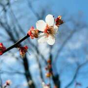 ヒメ日記 2025/02/07 08:15 投稿 南条 みく SUMIRE