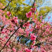 ヒメ日記 2025/03/11 07:45 投稿 南条 みく SUMIRE