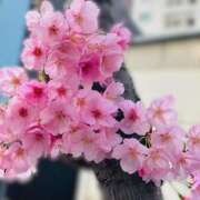 ヒメ日記 2025/03/27 08:15 投稿 南条 みく SUMIRE