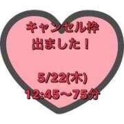 ヒメ日記 2025/05/19 12:03 投稿 南条 みく SUMIRE