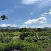 ヒメ日記 2025/07/29 07:15 投稿 南条 みく SUMIRE