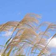 ヒメ日記 2025/10/30 07:30 投稿 南条 みく SUMIRE