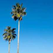 南条 みく 本日出勤日♪ SUMIRE