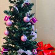 ヒメ日記 2025/12/09 06:45 投稿 南条 みく SUMIRE