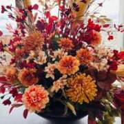 ヒメ日記 2025/12/12 06:15 投稿 南条 みく SUMIRE