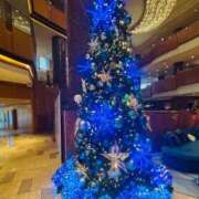 ヒメ日記 2025/12/19 06:45 投稿 南条 みく SUMIRE