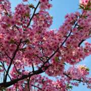 南条 みく 本日出勤日♪ SUMIRE