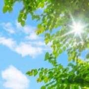南条 みく 本日出勤日♪ SUMIRE
