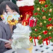 ヒメ日記 2024/12/15 21:55 投稿 青山ゆうな ハレ系 ひよこ治療院(中州)