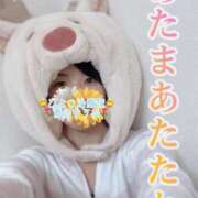 ヒメ日記 2024/12/20 11:52 投稿 青山ゆうな ハレ系 ひよこ治療院(中州)