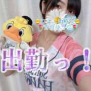 ヒメ日記 2025/01/26 12:27 投稿 青山ゆうな ハレ系 ひよこ治療院(中州)