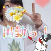 ヒメ日記 2025/02/07 11:49 投稿 青山ゆうな ハレ系 ひよこ治療院(中州)