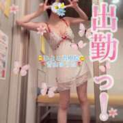 ヒメ日記 2025/02/19 13:08 投稿 青山ゆうな ハレ系 ひよこ治療院(中州)