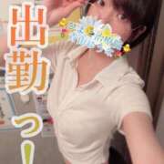 ヒメ日記 2025/02/26 16:06 投稿 青山ゆうな ハレ系 ひよこ治療院(中州)