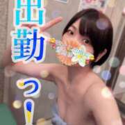 ヒメ日記 2025/03/01 11:02 投稿 青山ゆうな ハレ系 ひよこ治療院(中州)