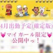 ヒメ日記 2025/04/01 00:37 投稿 青山ゆうな ハレ系 ひよこ治療院(中州)