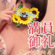 ヒメ日記 2025/04/04 10:38 投稿 青山ゆうな ハレ系 ひよこ治療院(中州)