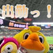 ヒメ日記 2025/04/25 11:40 投稿 青山ゆうな ハレ系 ひよこ治療院(中州)