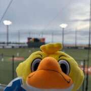 ヒメ日記 2025/05/21 00:05 投稿 青山ゆうな ハレ系 ひよこ治療院(中州)