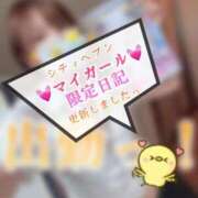 ヒメ日記 2025/10/25 11:23 投稿 青山ゆうな ハレ系 ひよこ治療院(中州)