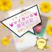 ヒメ日記 2025/10/30 01:10 投稿 青山ゆうな ハレ系 ひよこ治療院(中州)