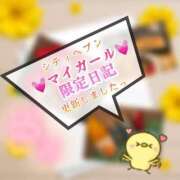 ヒメ日記 2025/11/02 02:23 投稿 青山ゆうな ハレ系 ひよこ治療院(中州)