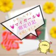 ヒメ日記 2025/11/19 22:10 投稿 青山ゆうな ハレ系 ひよこ治療院(中州)