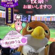 ヒメ日記 2025/11/22 00:29 投稿 青山ゆうな ハレ系 ひよこ治療院(中州)