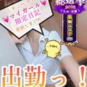 ヒメ日記 2025/11/29 11:20 投稿 青山ゆうな ハレ系 ひよこ治療院(中州)