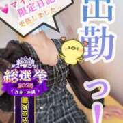 ヒメ日記 2025/11/30 11:57 投稿 青山ゆうな ハレ系 ひよこ治療院(中州)