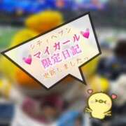 ヒメ日記 2025/12/12 04:10 投稿 青山ゆうな ハレ系 ひよこ治療院(中州)