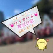 ヒメ日記 2025/12/12 19:56 投稿 青山ゆうな ハレ系 ひよこ治療院(中州)