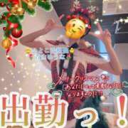 青山ゆうな 23→24？ 24 →25？っ🌷青山 ハレ系 ひよこ治療院(中州)