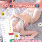 ヒメ日記 2026/01/07 07:26 投稿 青山ゆうな ハレ系 ひよこ治療院(中州)