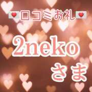 ヒメ日記 2026/02/04 12:01 投稿 青山ゆうな ハレ系 ひよこ治療院(中州)